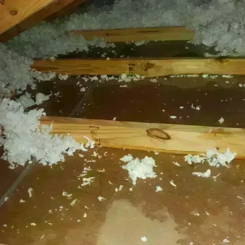 Attic Water Damage in Brussels, WI