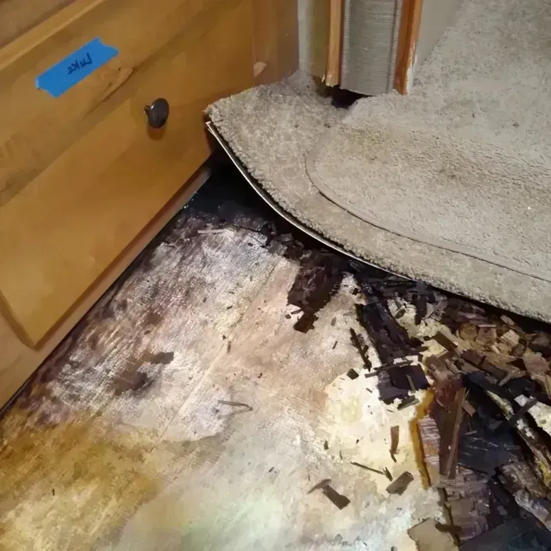 Best Wood Floor Water Damage Service in Brussels, WI